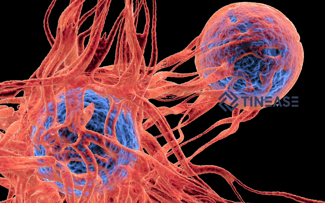 Tinease İşitme Cihazının Arkasındaki Bilim: 650nm Işığın Gücü